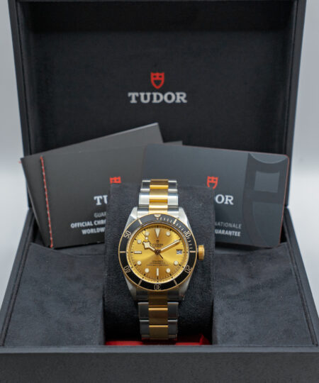 Tudor Black Bay S&G M79733N-0004